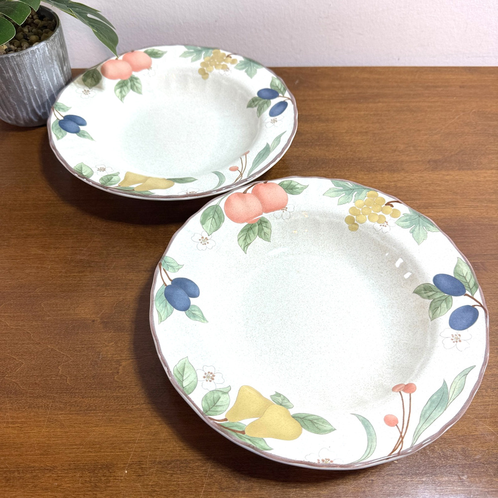 Mikasa Country Classics Soup Salad Bowl DC014 Fruit Panorama 9" Flat Rim Set/2